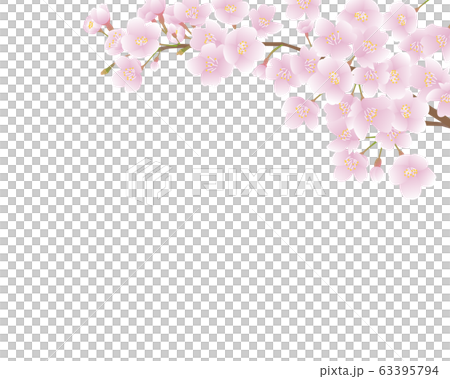 flower, flowers, cherry blossom 63395794
