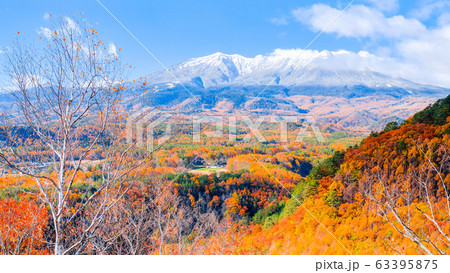 九蔵峠から望む秋の御嶽山 63395875
