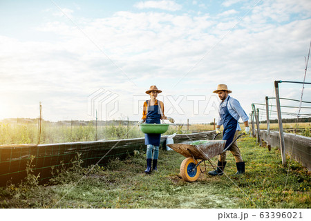 Two workers on the farmland outdoors 63396021