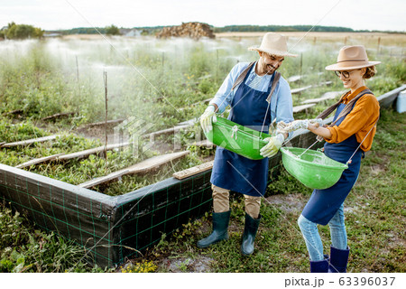 Workers on the farmland for growing snails Workers on the farmland for growing snails 63396037