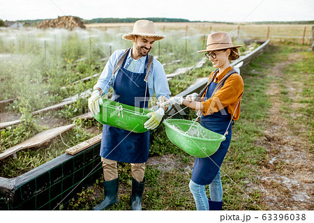 Workers on the farmland for growing snails 63396038