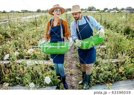Workers on the farmland for growing snails Workers on the farmland for growing snails 63396039