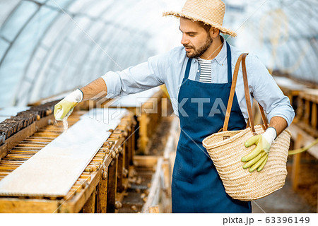 Man working on a farm for snail growing 63396149
