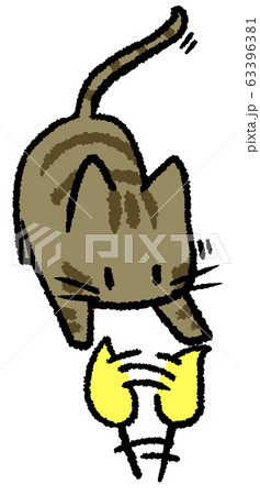 遊ぶキジトラ猫 遊ぶキジトラ猫 63396381