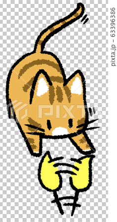トラ猫イラストのキャットフード マコくんイラストに！！＞ 来る12/16（土）開催の