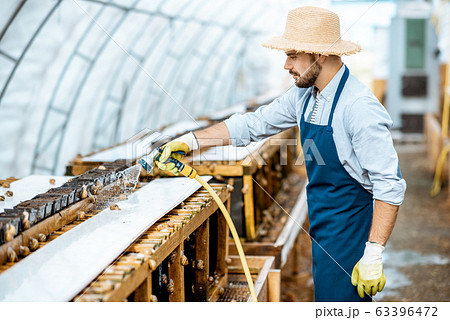 Man working on a farm with snails Man working on a farm with snails 63396472