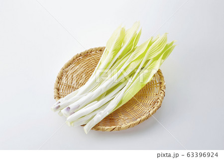 うるい (hosta plant) 63396924