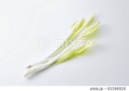 うるい (hosta plant) 63396926