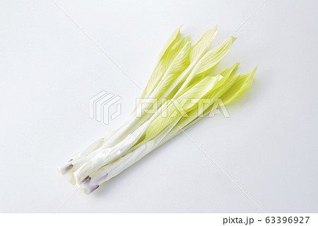 うるい (hosta plant) 63396927