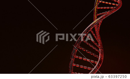 The red Dna 3d rendering on black background for science content. 63397250