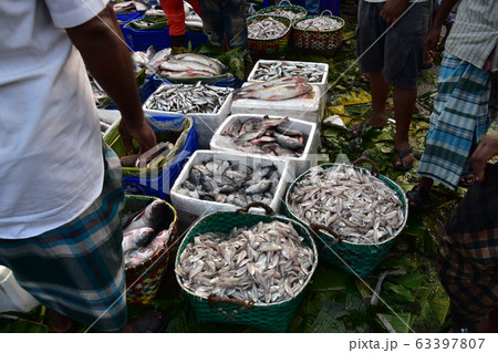 バングラデシュのチッタゴン ベンガル湾に注ぎ込む川沿いの魚市場 屋外に並べられた沢山の魚 バングラデシュのチッタゴン ベンガル湾に注ぎ込む川沿いの魚市場 屋外に並べられた沢山の魚 63397807