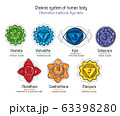 Chakras set of human body - vector drawing Sahasrara, Ajna, Vishuddha, Anahata, Manipura, Svadhisthana, Muladhara with text about his glands. Used in alternative medicine Ayurveda, also in Hinduism  63398280
