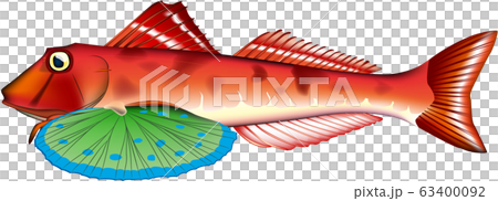 ホウボウ ホウボウ 63400092