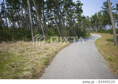 白砂青松・弓ヶ浜サイクリングコース 63400520