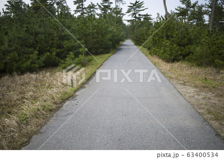 白砂青松・弓ヶ浜サイクリングコース 63400534
