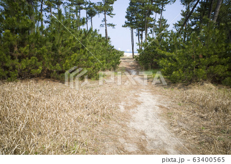 白砂青松・弓ヶ浜サイクリングコース 白砂青松・弓ヶ浜サイクリングコース 63400565