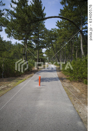 白砂青松・弓ヶ浜サイクリングコース 63400576