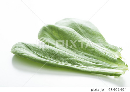 大葉春菊（鍋しゅんぎく）　北九州名産 63401494