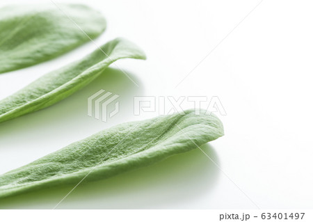 大葉春菊(鍋しゅんぎく) 北九州名産 大葉春菊(鍋しゅんぎく) 北九州名産 63401497