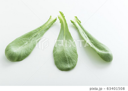 大葉春菊（鍋しゅんぎく）　北九州名産 63401508