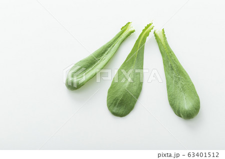 大葉春菊（鍋しゅんぎく）　北九州名産 63401512