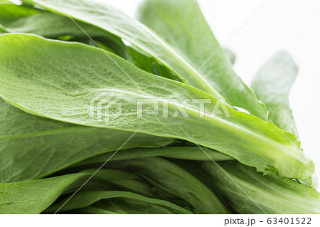 大葉春菊（鍋しゅんぎく）　北九州名産 63401522