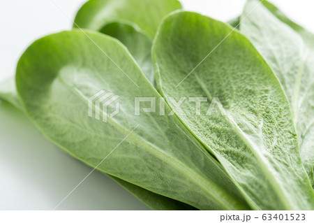 大葉春菊（鍋しゅんぎく）　北九州名産 63401523