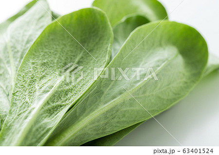 大葉春菊（鍋しゅんぎく）　北九州名産 63401524