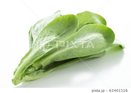 大葉春菊(鍋しゅんぎく) 北九州名産 大葉春菊(鍋しゅんぎく) 北九州名産 63401526