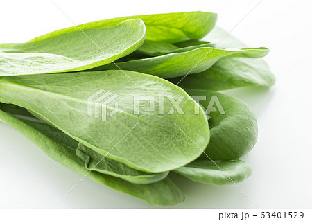 大葉春菊（鍋しゅんぎく）　北九州名産 63401529