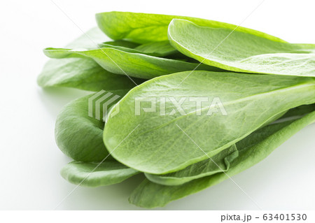 大葉春菊（鍋しゅんぎく）　北九州名産 63401530