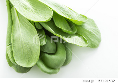 大葉春菊（鍋しゅんぎく）　北九州名産 63401532