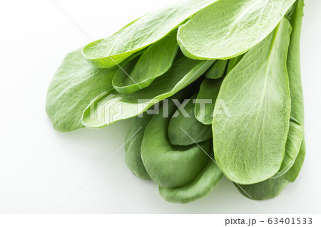 大葉春菊（鍋しゅんぎく）　北九州名産 63401533