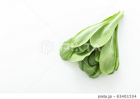 大葉春菊（鍋しゅんぎく）　北九州名産 63401534