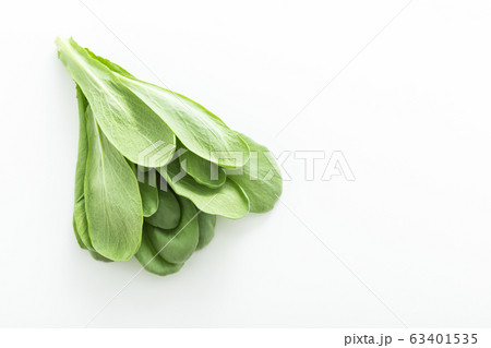 大葉春菊（鍋しゅんぎく）　北九州名産 63401535