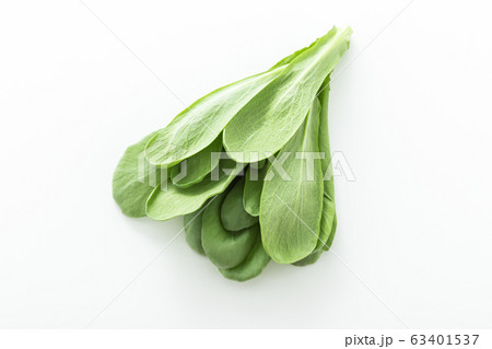 大葉春菊（鍋しゅんぎく）　北九州名産 63401537