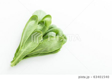 大葉春菊(鍋しゅんぎく) 北九州名産 大葉春菊(鍋しゅんぎく) 北九州名産 63401540