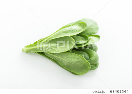 大葉春菊（鍋しゅんぎく）　北九州名産 63401544