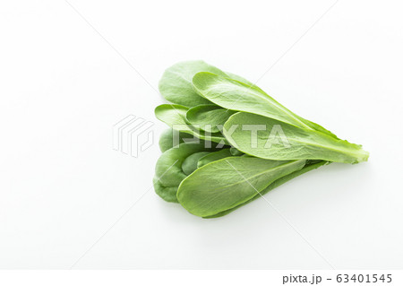 大葉春菊（鍋しゅんぎく）　北九州名産 63401545