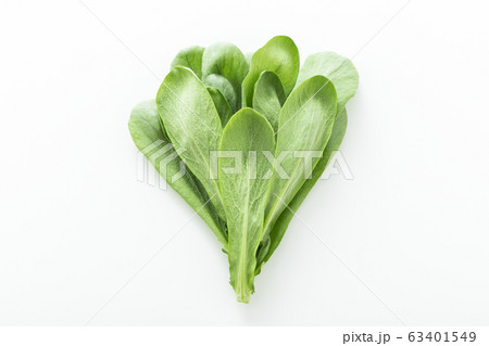 大葉春菊（鍋しゅんぎく）　北九州名産 63401549