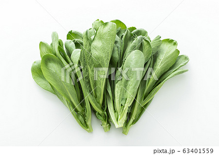 大葉春菊（鍋しゅんぎく）　北九州名産 63401559