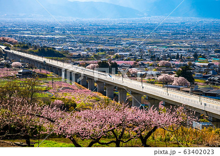 甲府盆地桃の花とリニアモーターカー 63402023