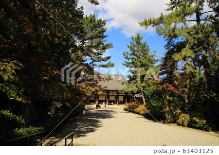 唐招提寺、金堂、 唐招提寺、金堂、 63403125