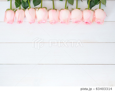 Pink rose flowers on white wood plate with copy space. Top view Pink rose flowers on white wood plate with copy space. Top view 63403314