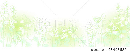初夏の草花 初夏の草花 63403682