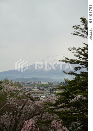 弘前城から望む桜景色 弘前城から望む桜景色 63403791