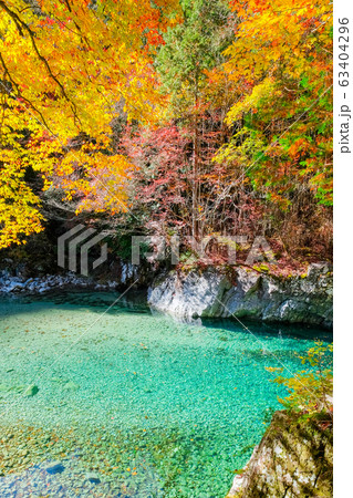 阿寺渓谷（秋） 63404296