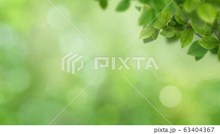 背景 ナチュラル 葉 グリーン 春 初夏 夏のイラスト素材