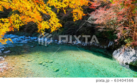 阿寺渓谷（秋） 63404566