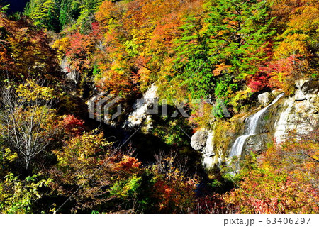 紅葉川 紅葉川 63406297